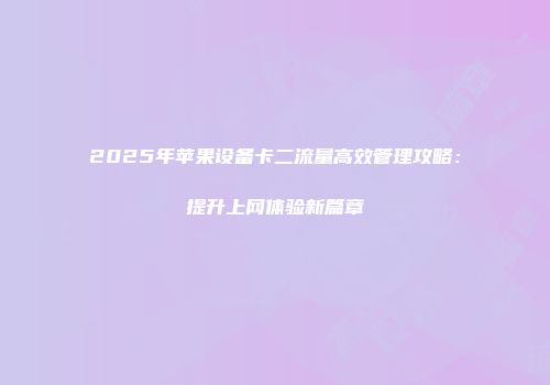 2025年苹果设备卡二流量高效管理攻略：提升上网体验新篇章