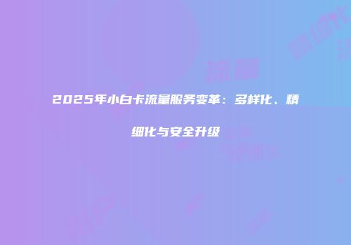 2025年小白卡流量服务变革:多样化、精细化与安全升级