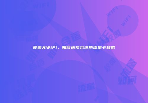 校园无WiFi，如何选择合适的流量卡攻略