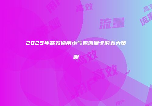2025年高效使用小气包流量卡的五大策略