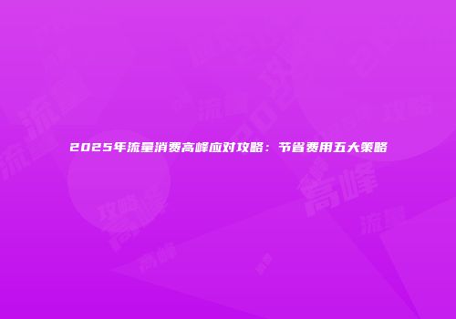 2025年流量消费高峰应对攻略:节省费用五大策略