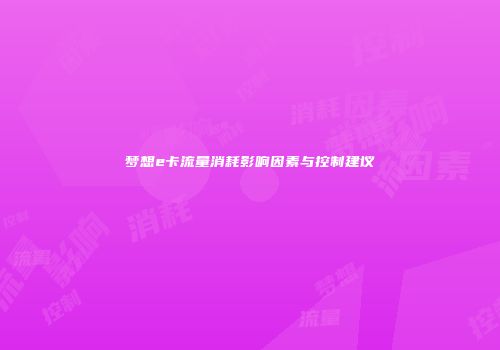 梦想e卡流量消耗影响因素与控制建议