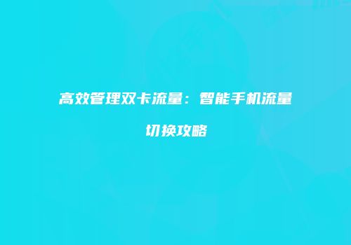 高效管理双卡流量：智能手机流量切换攻略