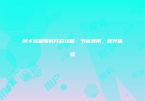 副卡流量限制开启攻略：节省费用，提升体验