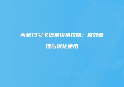 两张13号卡流量切换攻略：高效管理与优化使用