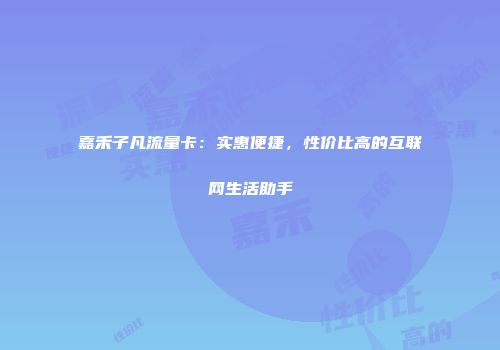 嘉禾子凡流量卡：实惠便捷，性价比高的互联网生活助手