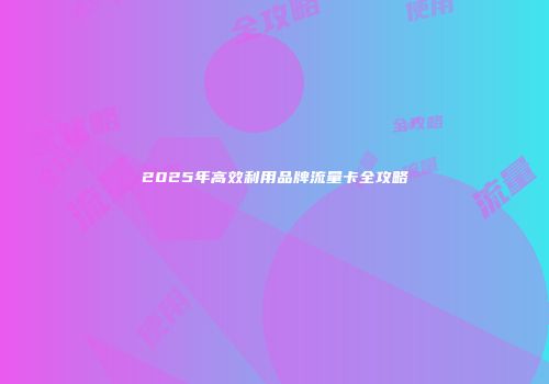 2025年高效利用品牌流量卡全攻略