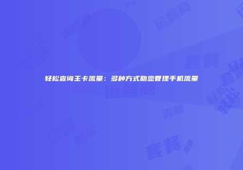 轻松查询主卡流量:多种方式助您管理手机流量