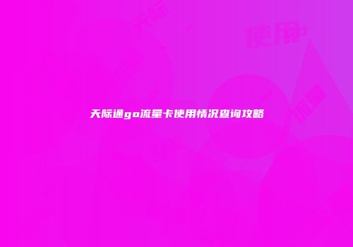 天际通go流量卡使用情况查询攻略