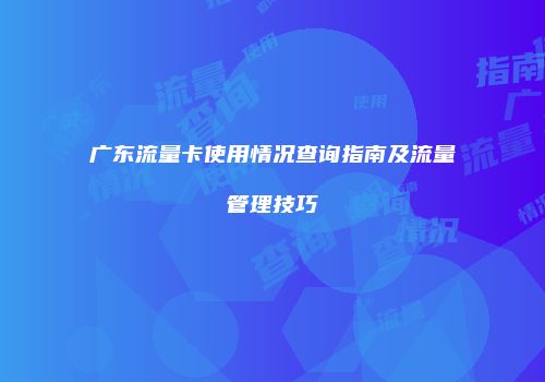 广东流量卡使用情况查询指南及流量管理技巧
