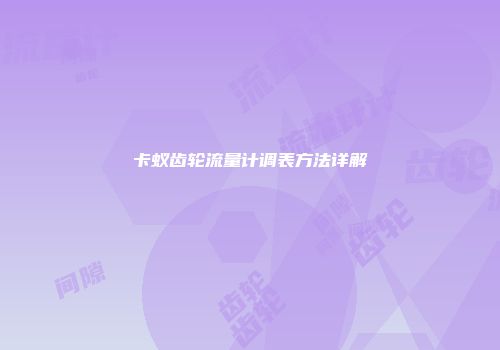 卡蚁齿轮流量计调表方法详解