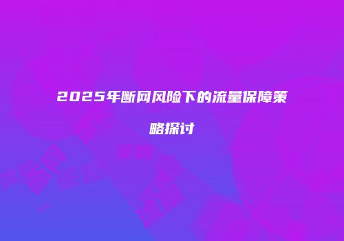 2025年断网风险下的流量保障策略探讨