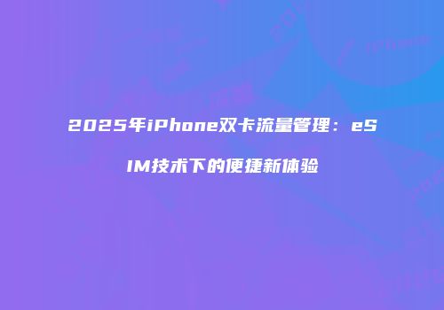 2025年iPhone双卡流量管理：eSIM技术下的便捷新体验