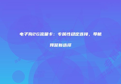 电子狗2G流量卡：专属性稳定连接，导航预警新选择