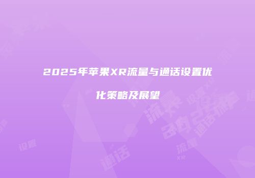 2025年苹果XR流量与通话设置优化策略及展望