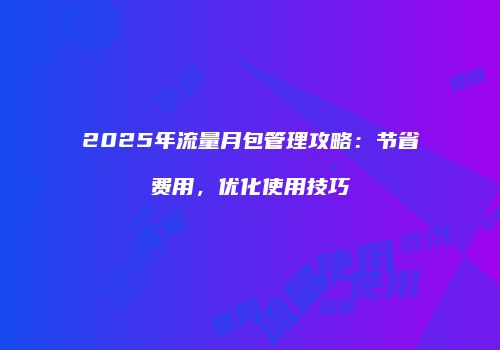 2025年流量月包管理攻略：节省费用，优化使用技巧