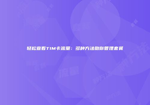 轻松查看TIM卡流量:多种方法助你管理套餐