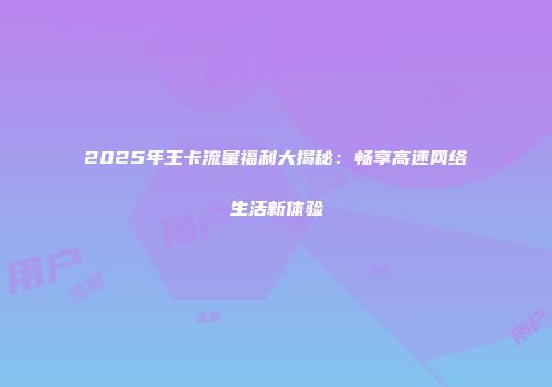 2025年王卡流量福利大揭秘：畅享高速网络生活新体验