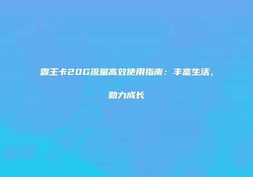 霸王卡20G流量高效使用指南：丰富生活，助力成长