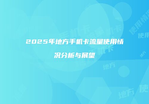 2025年地方手机卡流量使用情况分析与展望
