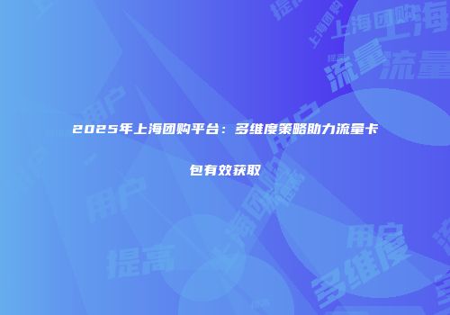 2025年上海团购平台:多维度策略助力流量卡包有效获取