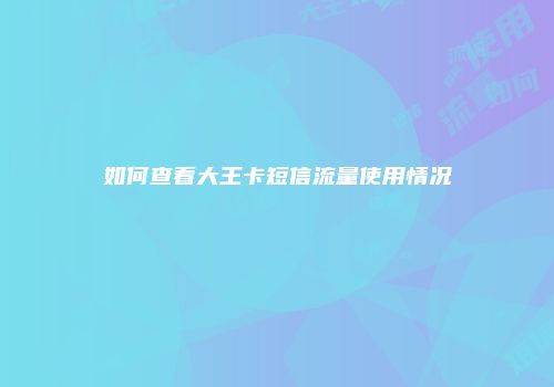 如何查看大王卡短信流量使用情况