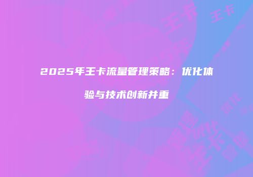 2025年王卡流量管理策略：优化体验与技术创新并重