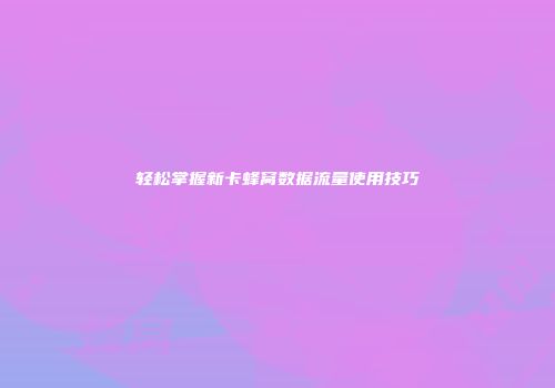 轻松掌握新卡蜂窝数据流量使用技巧