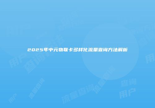 2025年中元物联卡多样化流量查询方法解析