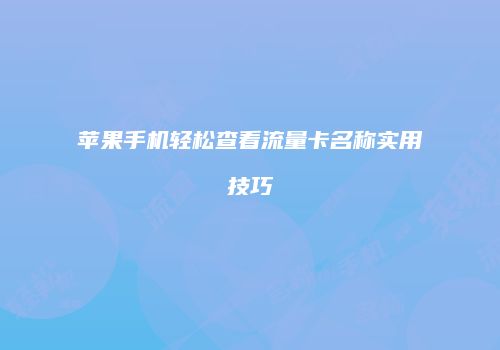 苹果手机轻松查看流量卡名称实用技巧