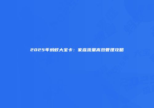2025年蚂蚁大宝卡：家庭流量高效管理攻略