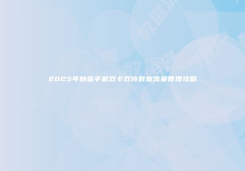 2025年魅蓝手机双卡双待数据流量管理攻略