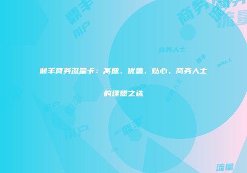 鼎丰商务流量卡:高速、优惠、贴心,商务人士的理想之选