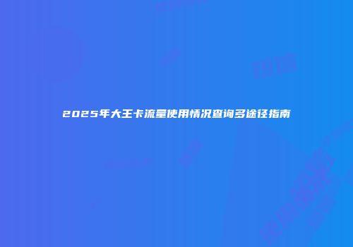 2025年大王卡流量使用情况查询多途径指南