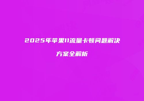 2025年苹果11流量卡顿问题解决方案全解析