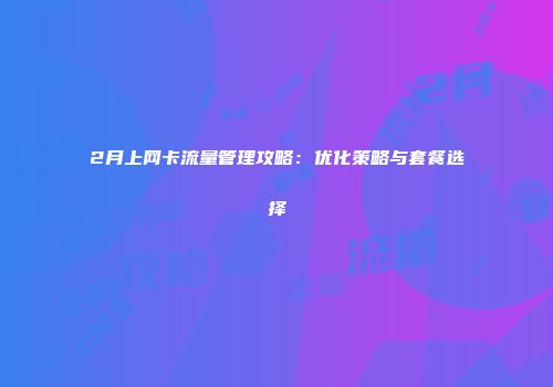 2月上网卡流量管理攻略：优化策略与套餐选择