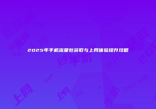 2025年手机流量包获取与上网体验提升攻略