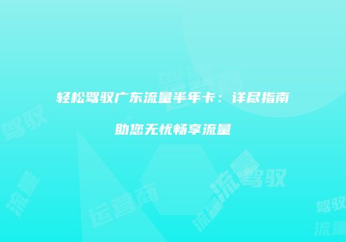 轻松驾驭广东流量半年卡：详尽指南助您无忧畅享流量