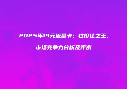 2025年19元流量卡:性价比之王,市场竞争力分析及评测