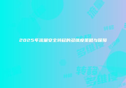 2025年流量安全转移的多维度策略与保障