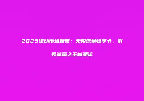 2025流动市场新宠:无限流量畅享卡,引领流量之王新潮流