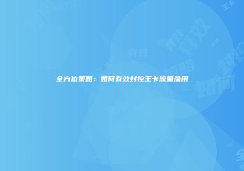 全方位策略：如何有效封控王卡流量滥用