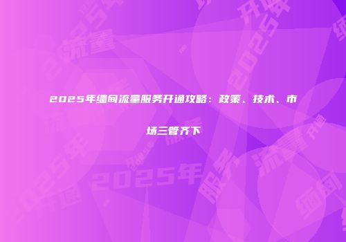 2025年缅甸流量服务开通攻略：政策、技术、市场三管齐下
