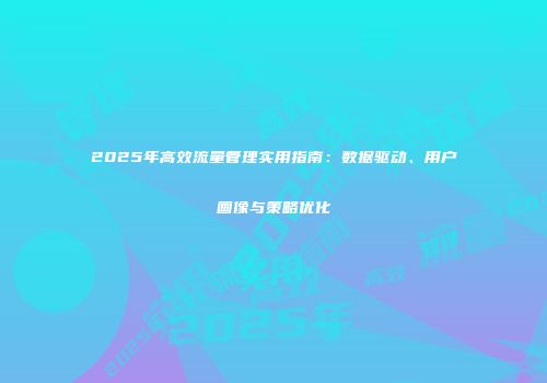 2025年高效流量管理实用指南:数据驱动、用户画像与策略优化