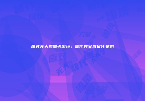 应对无大流量卡困境：替代方案与优化策略