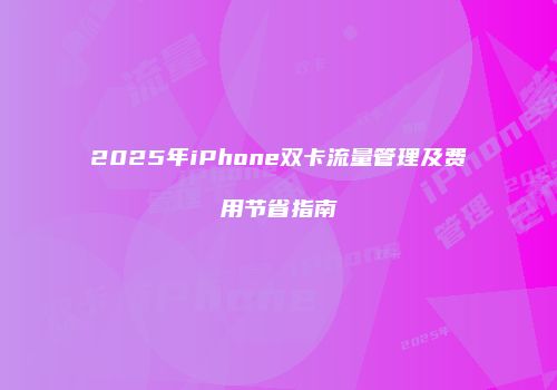 2025年iPhone双卡流量管理及费用节省指南