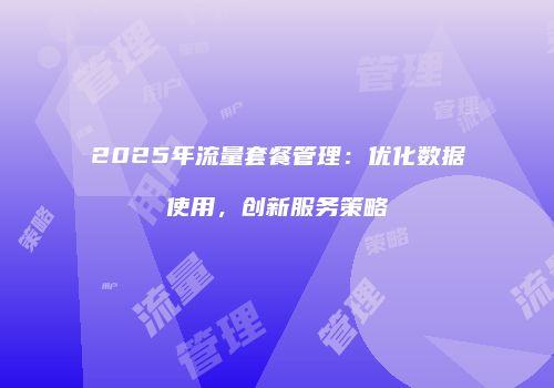 2025年流量套餐管理：优化数据使用，创新服务策略