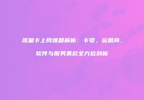 流量卡上网难题解析:卡号、运营商、软件与服务条款全方位剖析