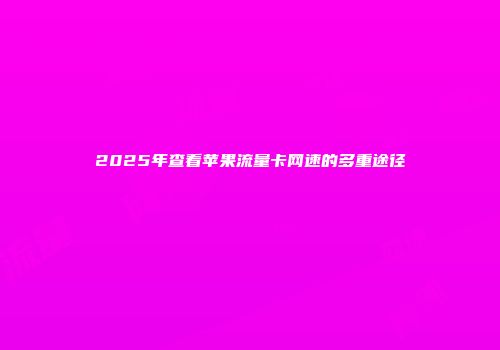 2025年查看苹果流量卡网速的多重途径