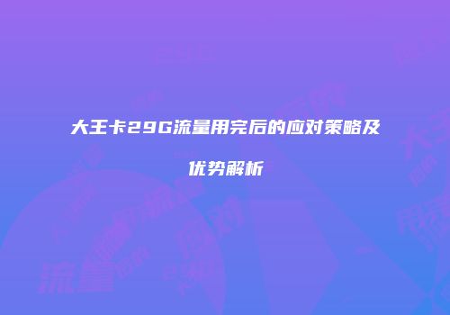 大王卡29G流量用完后的应对策略及优势解析